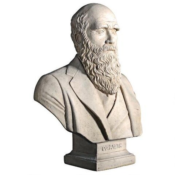 Charles Darwin Bust Portrait Sculpture Outdoor Garden Statues Replicas